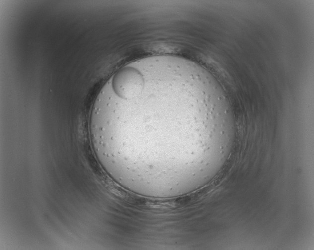 X0000074970359200609011022