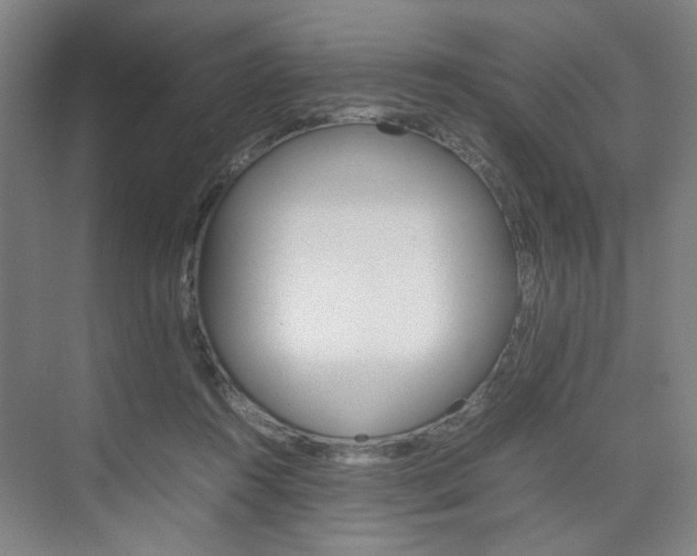 X0000074970360200609011022