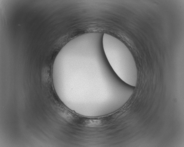 X0000074970361200609011022