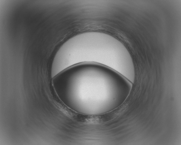 X0000074970362200609011022