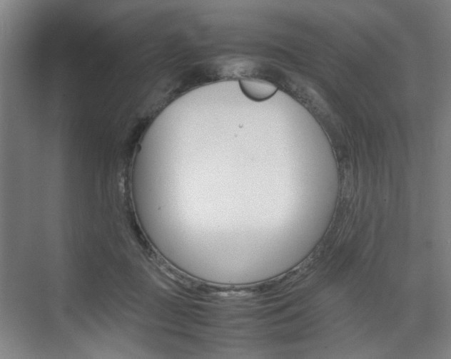 X0000074970363200609011022