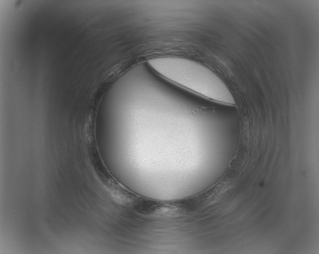 X0000074970364200609011022