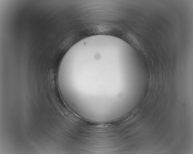 X0000074970366200609011022