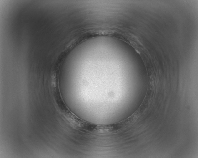 X0000074970368200609011022