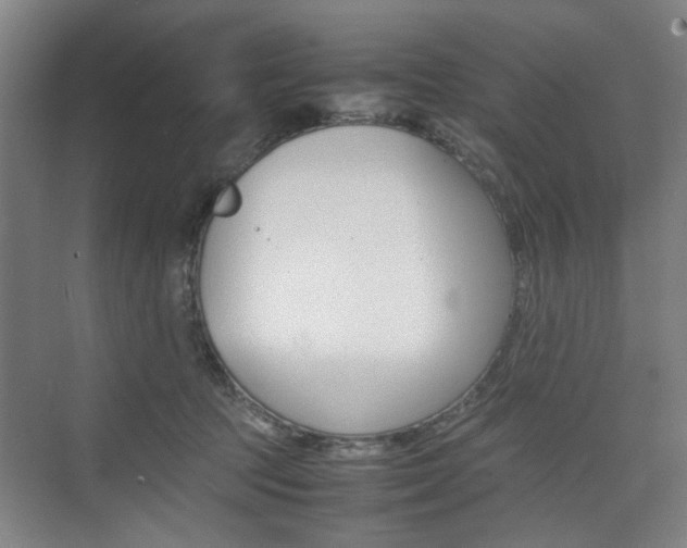 X0000074970369200609011022