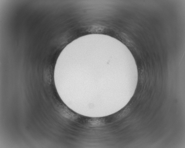 X0000074970370200609011022