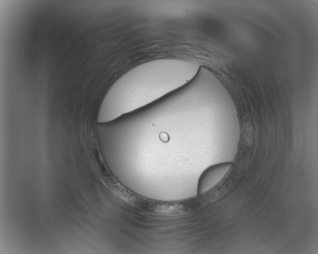 X0000074970375200609011022