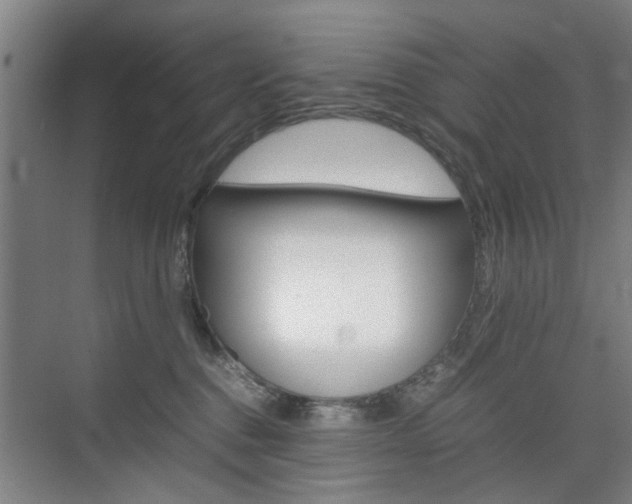 X0000074970376200609011022