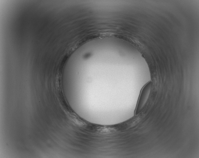 X0000074970379200609011023