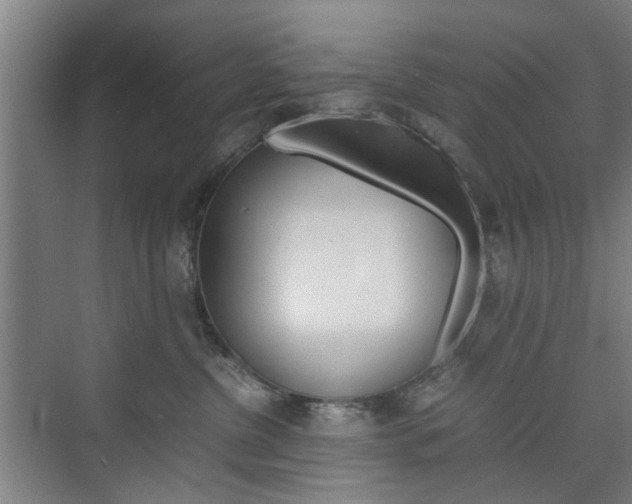 X0000074970380200609011023