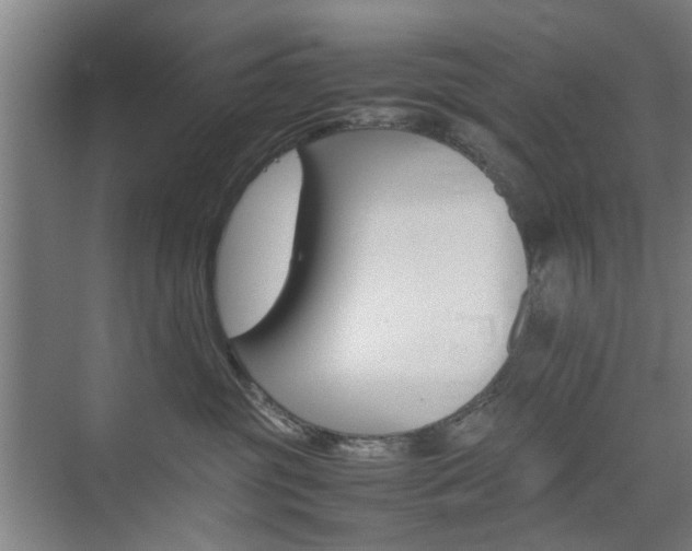 X0000074970381200609011023