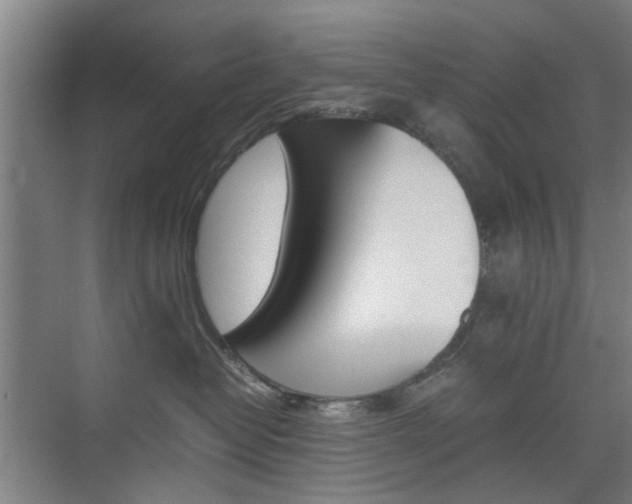 X0000074970382200609011023