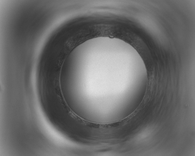 X0000074970383200609011023