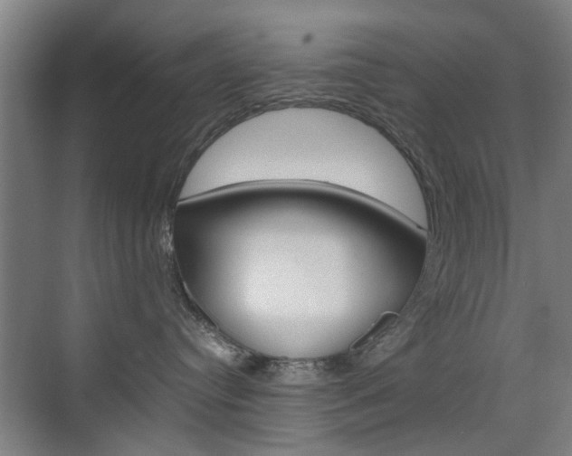 X0000074970384200609011023