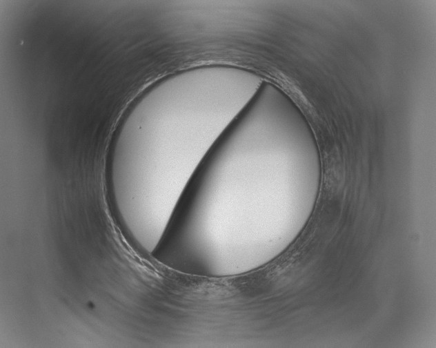 X0000074970386200609011022