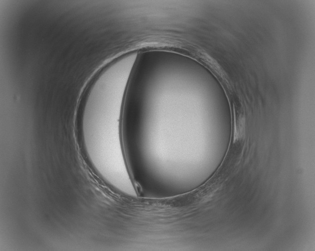 X0000074970387200609011022