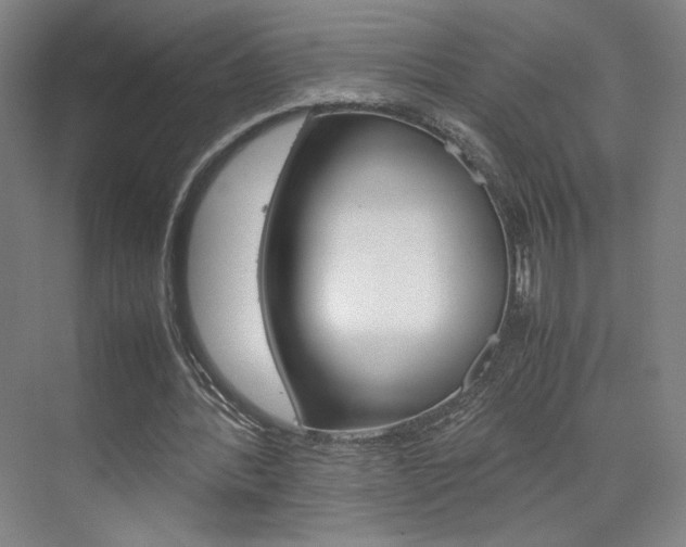 X0000074970388200609011022