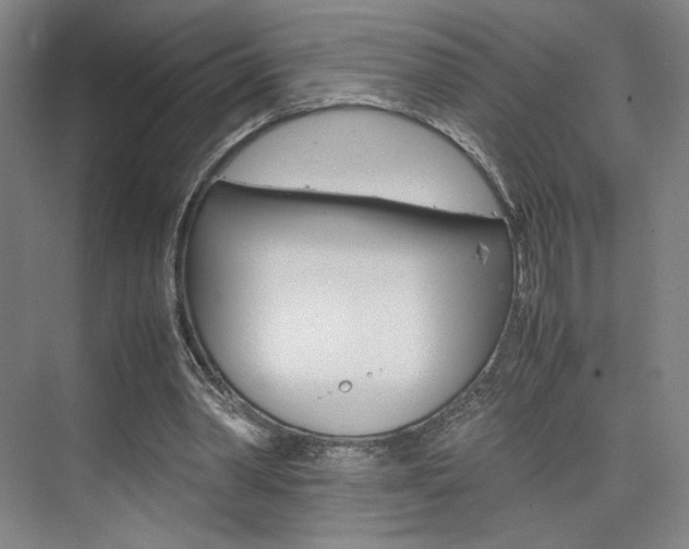 X0000074970390200609011022