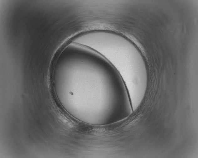 X0000074970391200609011022