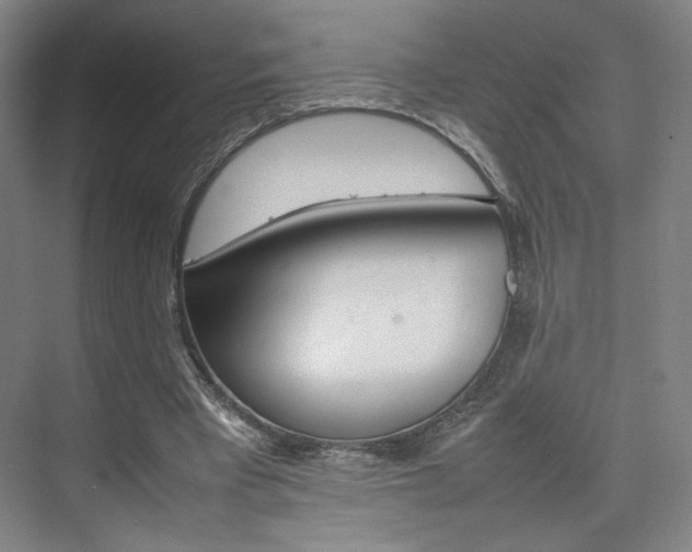 X0000074970393200609011022