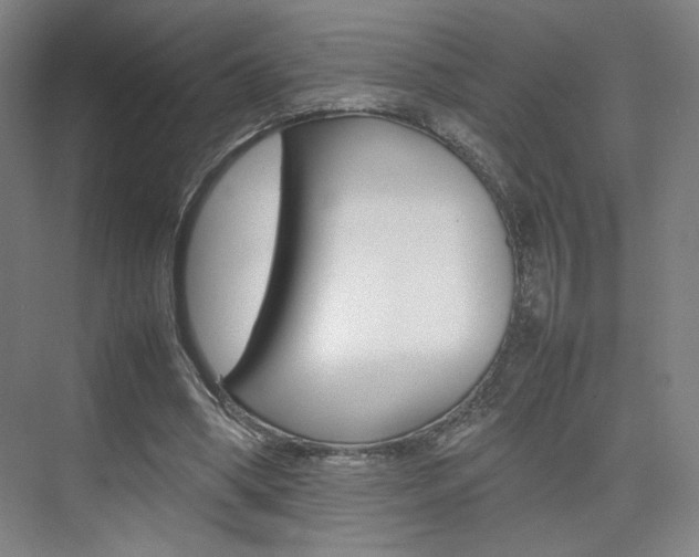 X0000074970394200609011022