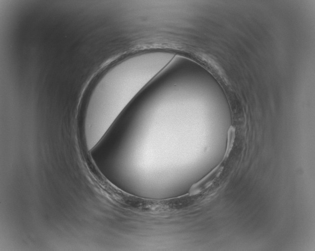 X0000074970395200609011022