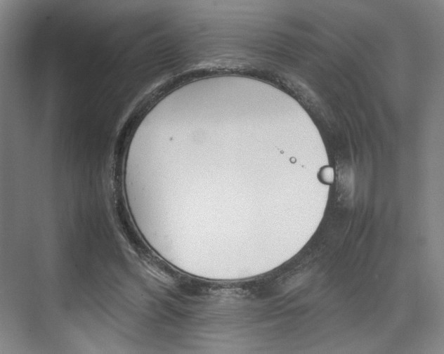 X0000074970396200609011022