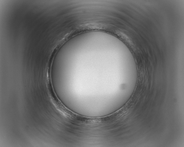 X0000074970398200609011022