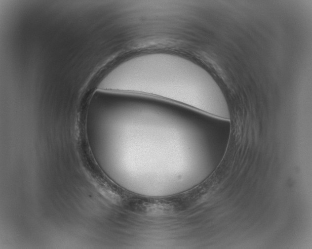 X0000074970400200609011022