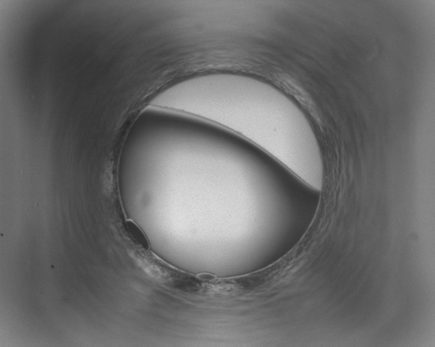 X0000074970401200609011022