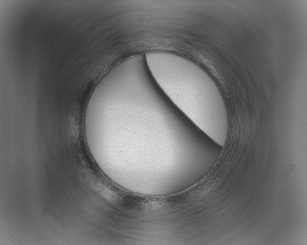 X0000074970402200609011022