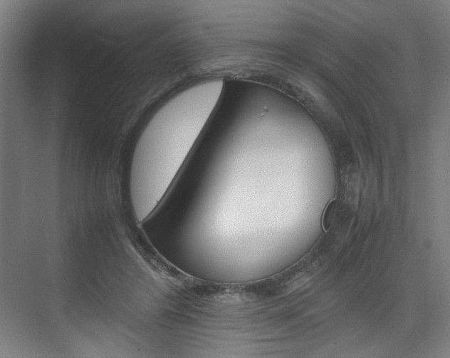 X0000074970404200609011022