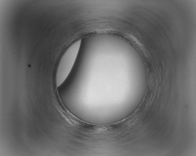 X0000074970405200609011021