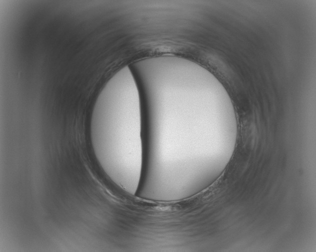 X0000074970406200609011021