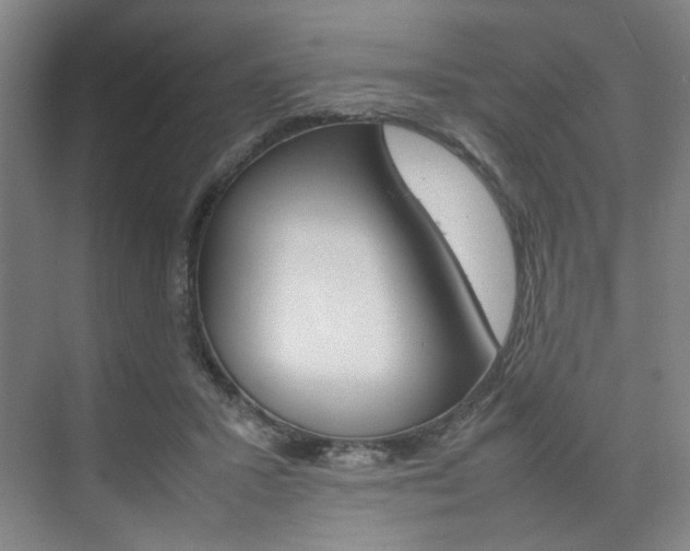 X0000074970407200609011021