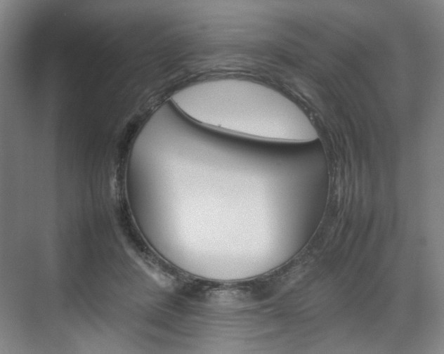 X0000074970408200609011021