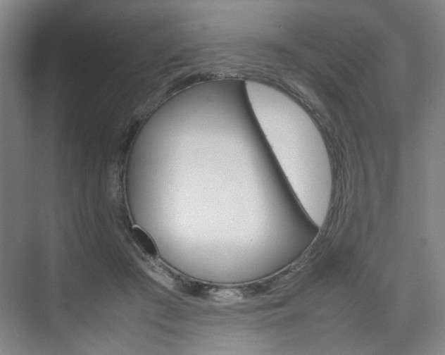 X0000074970409200609011021