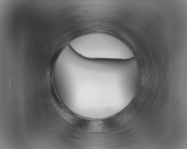 X0000074970410200609011021