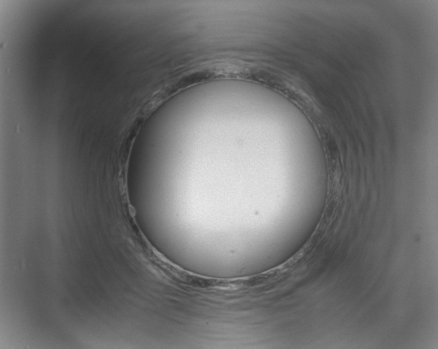 X0000074970411200609011021