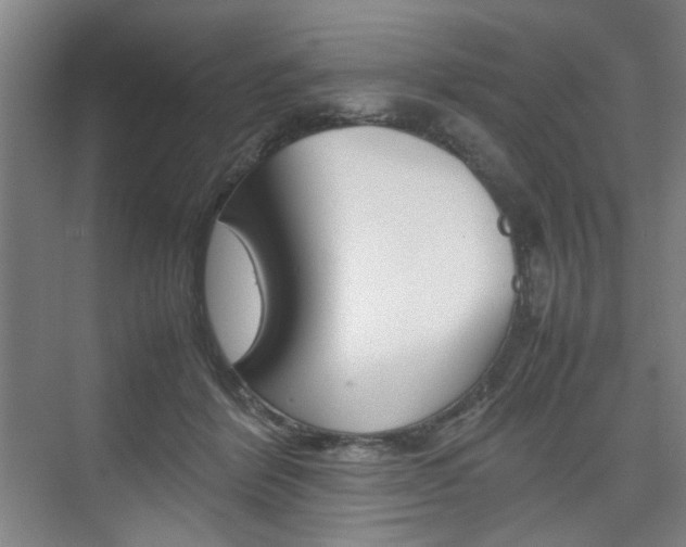 X0000074970412200609011021