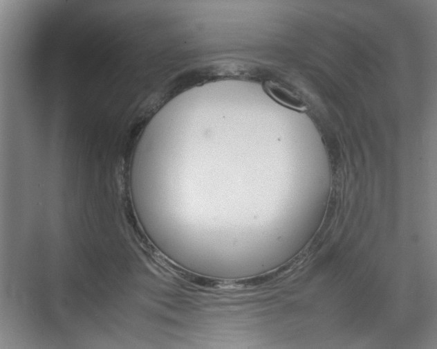 X0000074970413200609011021