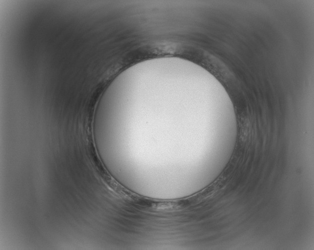 X0000074970414200609011021