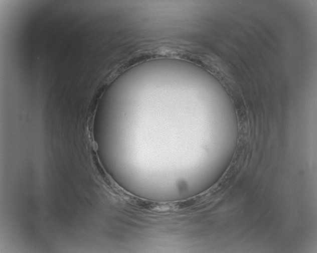 X0000074970415200609011021