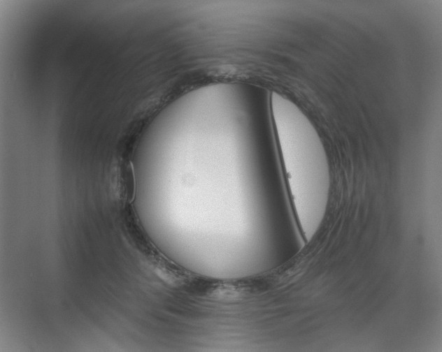 X0000074970416200609011021