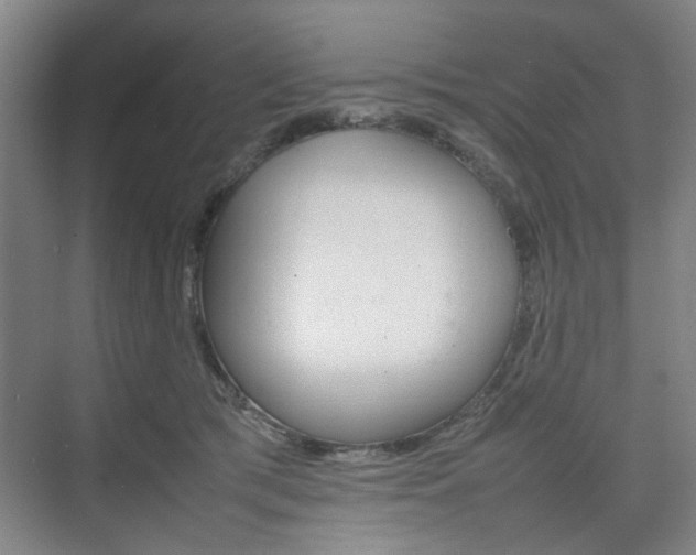 X0000074970417200609011021