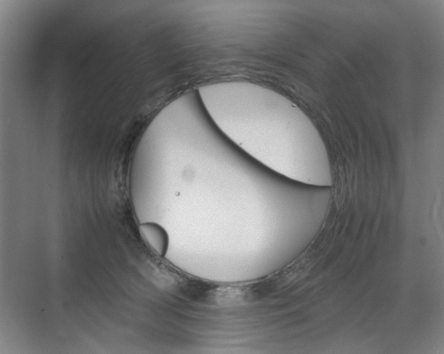 X0000074970418200609011021