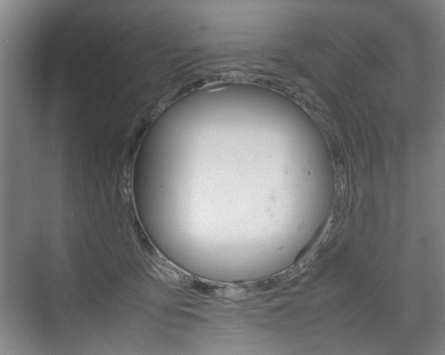 X0000074970419200609011021