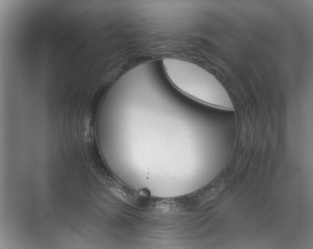 X0000074970420200609011021