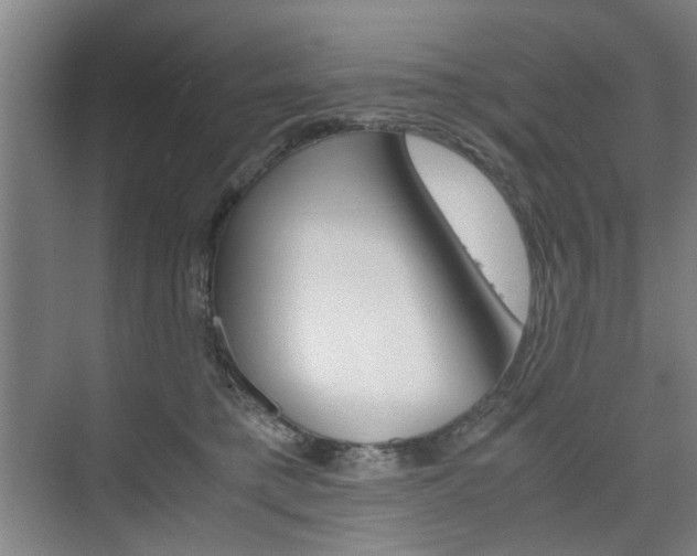 X0000074970421200609011021