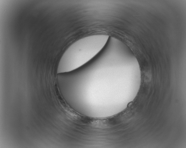 X0000074970422200609011021